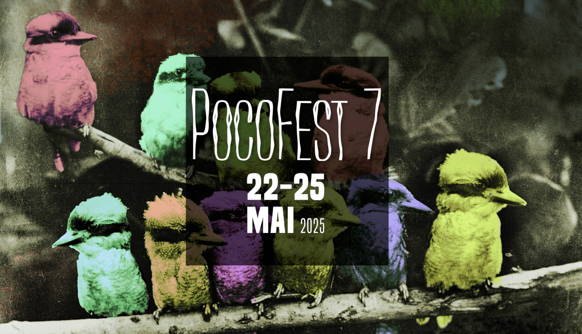 PocoFest 7